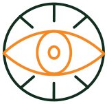 vision icon